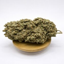 JACK HERER 1G