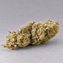 TROPIV2 Tropical 1g