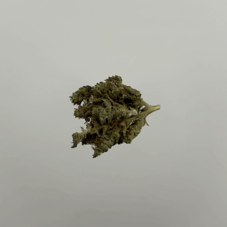 Blueberry Muffin 5G