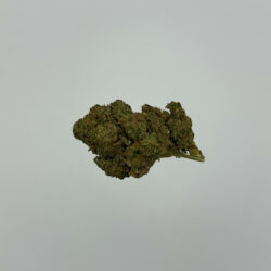 Moby Dick 1g