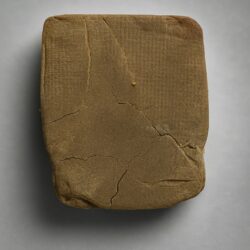 Pollen Morning Star 1G