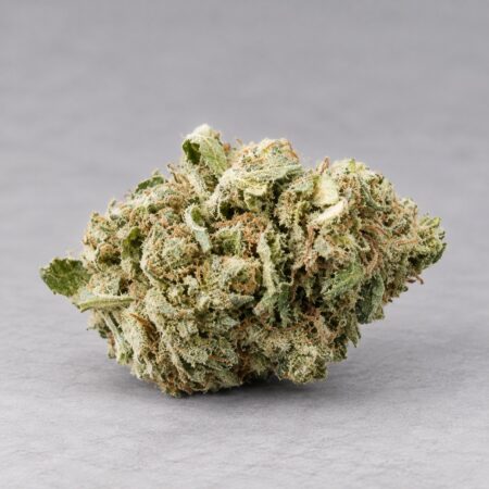 Biscotti 1g